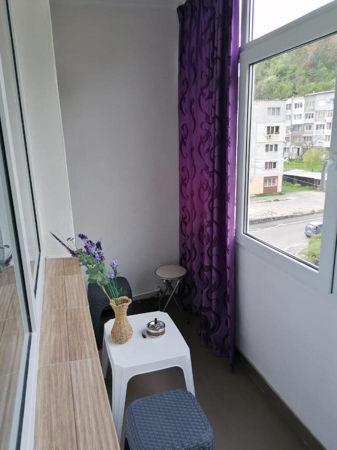 Appartement Apartament Alexia à Orşova Extérieur photo